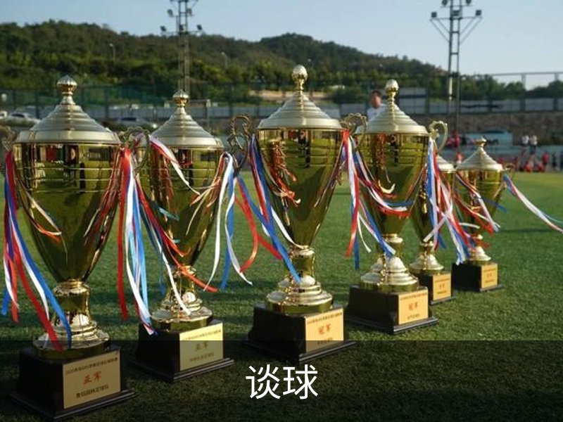 谈球概况